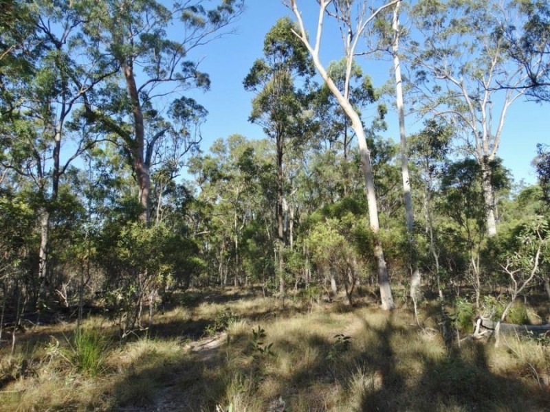 Lot 65 Dale Drive, Rules Beach QLD 4674