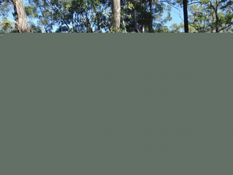 Lot 65 Dale Drive, Rules Beach QLD 4674