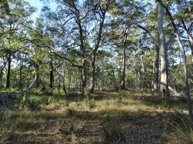 Lot 65 Dale Drive, Rules Beach QLD 4674