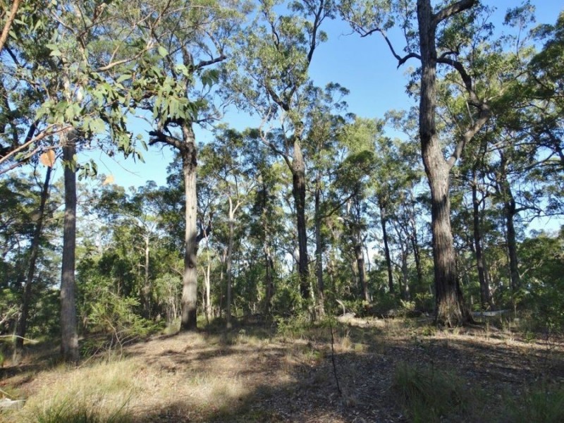 Lot 65 Dale Drive, Rules Beach QLD 4674