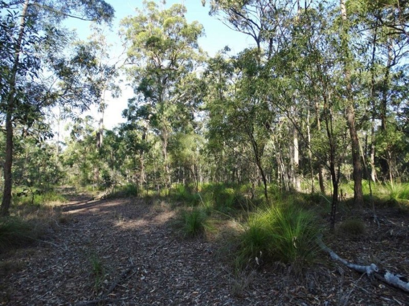Lot 65 Dale Drive, Rules Beach QLD 4674