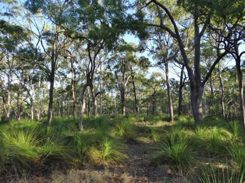 Lot 65 Dale Drive, Rules Beach QLD 4674