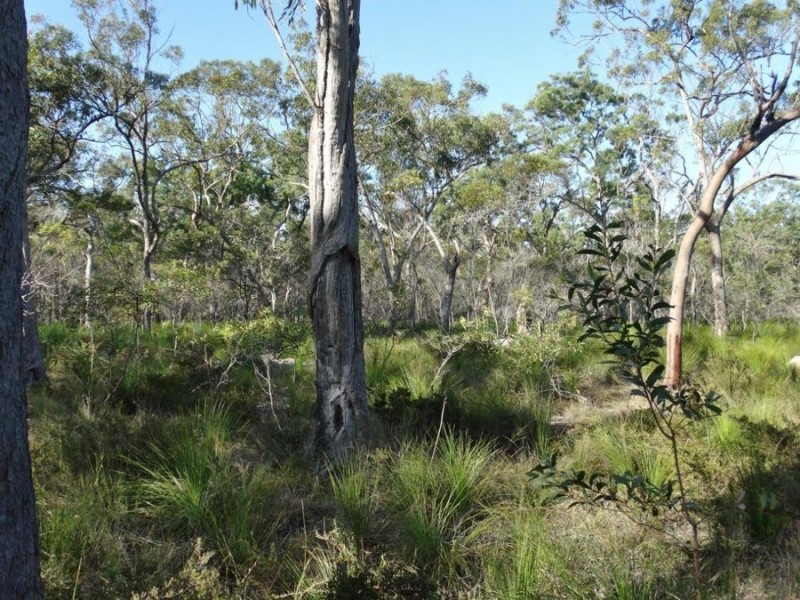 Lot 65 Dale Drive, Rules Beach QLD 4674