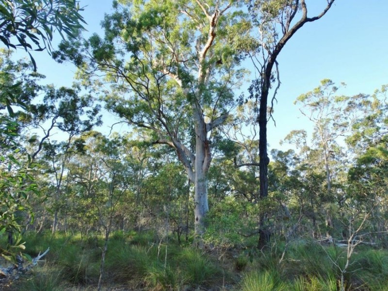 Lot 65 Dale Drive, Rules Beach QLD 4674