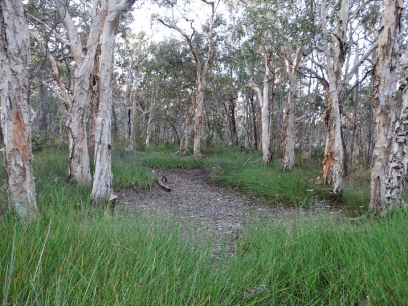 Lot 65 Dale Drive, Rules Beach QLD 4674