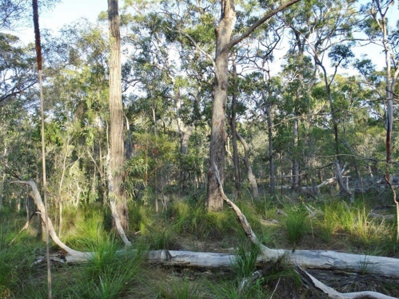 Lot 65 Dale Drive, Rules Beach QLD 4674