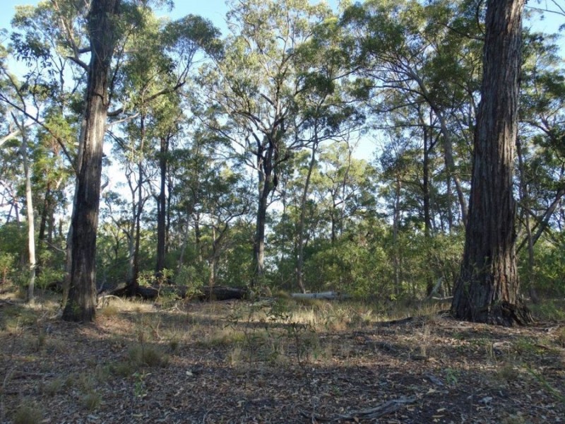 Lot 65 Dale Drive, Rules Beach QLD 4674