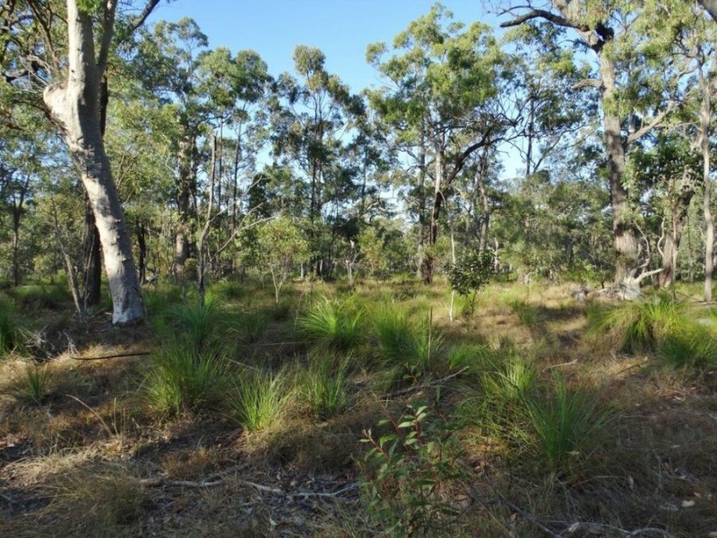 Lot 65 Dale Drive, Rules Beach QLD 4674