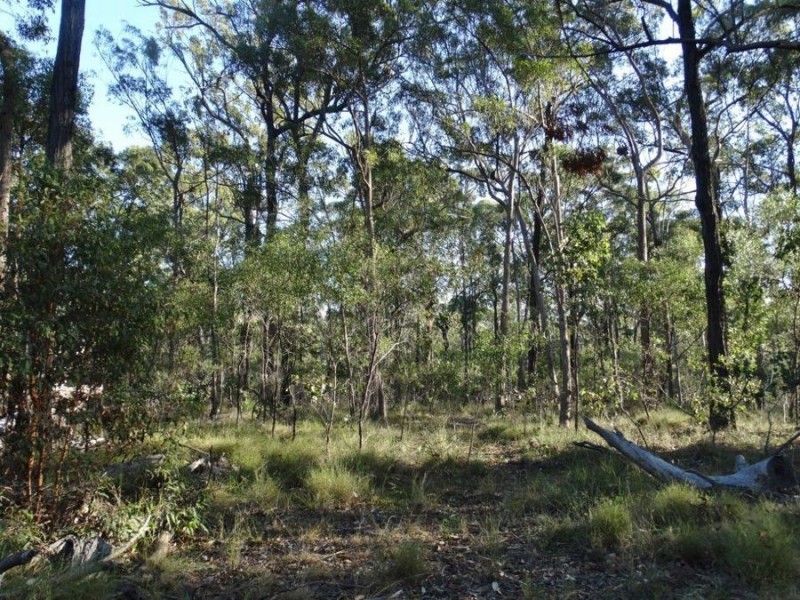 Lot 65 Dale Drive, Rules Beach QLD 4674