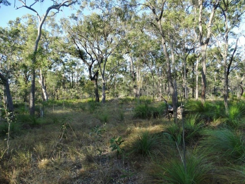 Lot 65 Dale Drive, Rules Beach QLD 4674