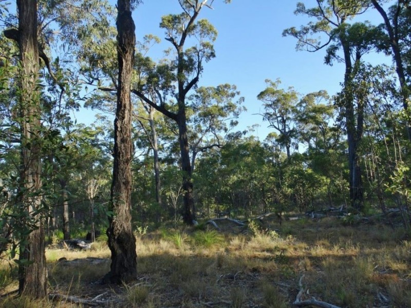 Lot 65 Dale Drive, Rules Beach QLD 4674