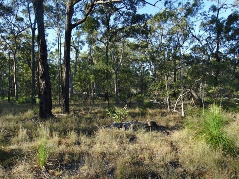 Lot 65 Dale Drive, Rules Beach QLD 4674