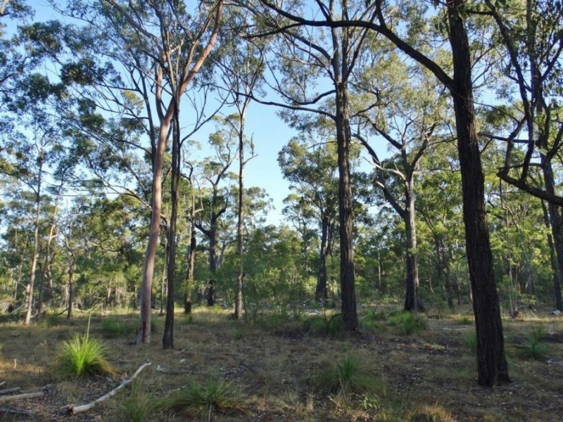 Lot 65 Dale Drive, Rules Beach QLD 4674