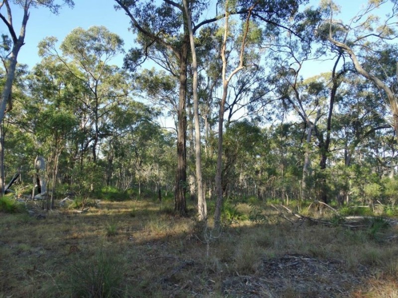 Lot 65 Dale Drive, Rules Beach QLD 4674