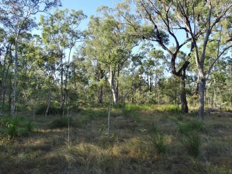 Lot 65 Dale Drive, Rules Beach QLD 4674