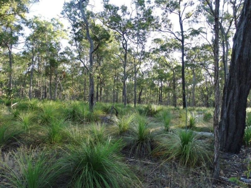 Lot 65 Dale Drive, Rules Beach QLD 4674
