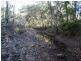 1062 Monduran Road, Waterloo QLD 4673