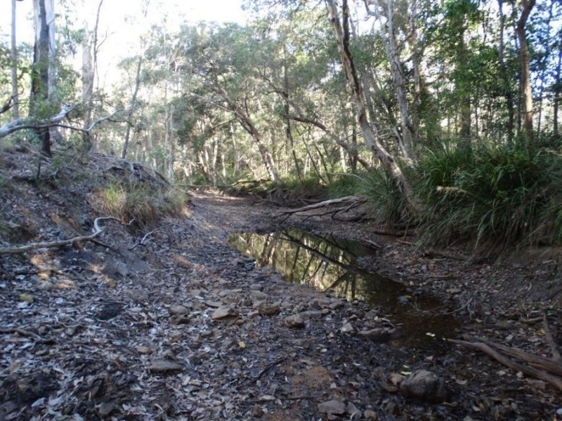 1062 Monduran Road, Waterloo QLD 4673