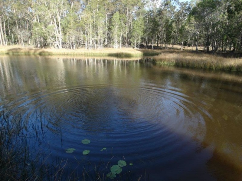 1062 Monduran Road, Waterloo QLD 4673