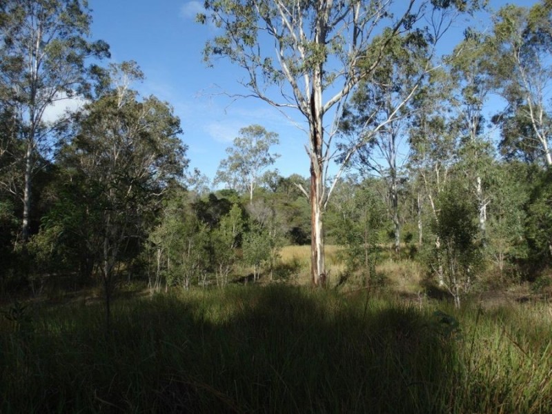 1062 Monduran Road, Waterloo QLD 4673