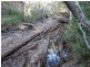 1062 Monduran Road, Waterloo QLD 4673