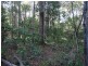 1062 Monduran Road, Waterloo QLD 4673