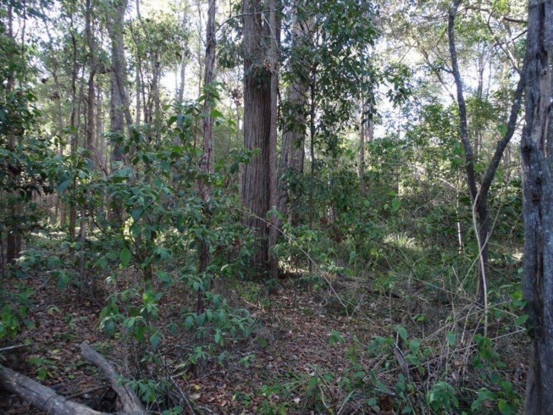 1062 Monduran Road, Waterloo QLD 4673