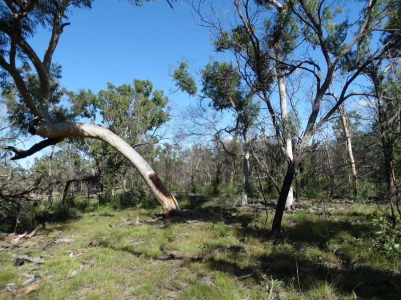 171 Deepwater Road, Deepwater QLD 4674