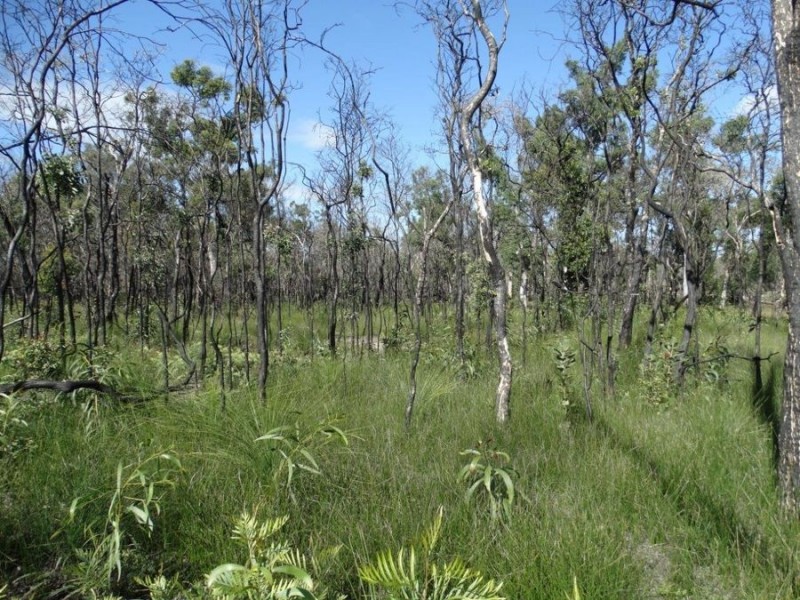 171 Deepwater Road, Deepwater QLD 4674