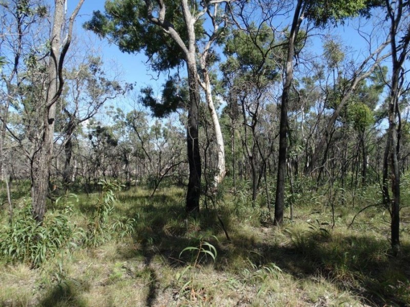 171 Deepwater Road, Deepwater QLD 4674