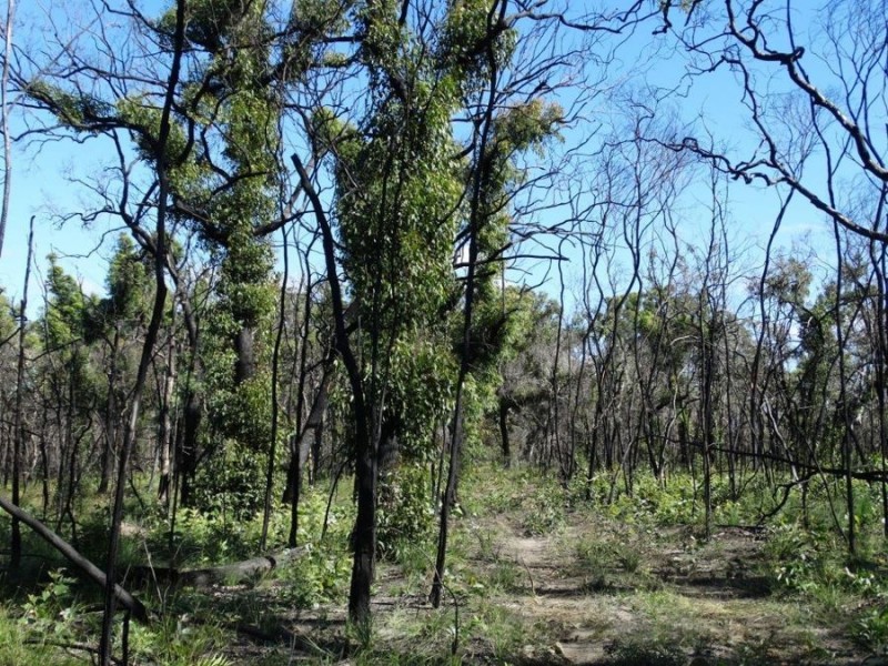 171 Deepwater Road, Deepwater QLD 4674