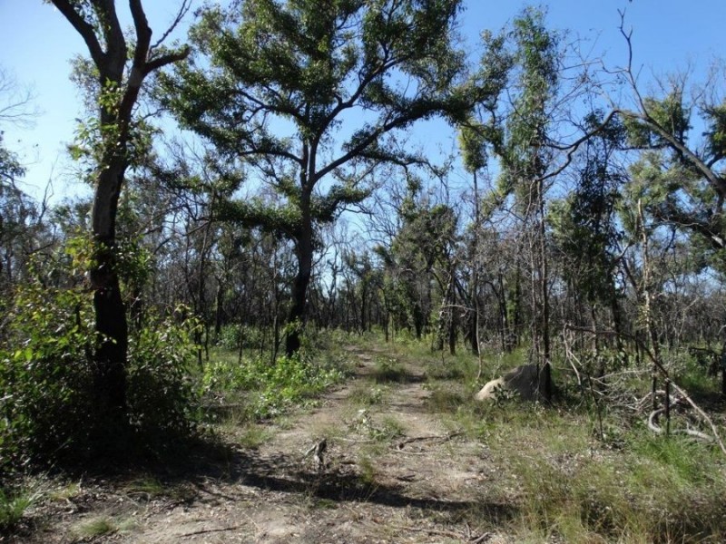 171 Deepwater Road, Deepwater QLD 4674