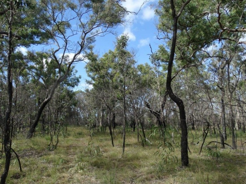 171 Deepwater Road, Deepwater QLD 4674