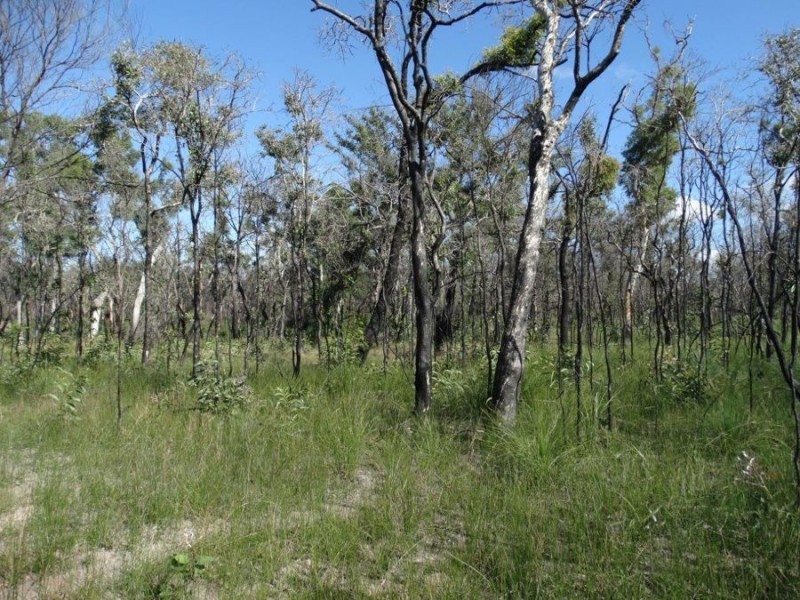 171 Deepwater Road, Deepwater QLD 4674