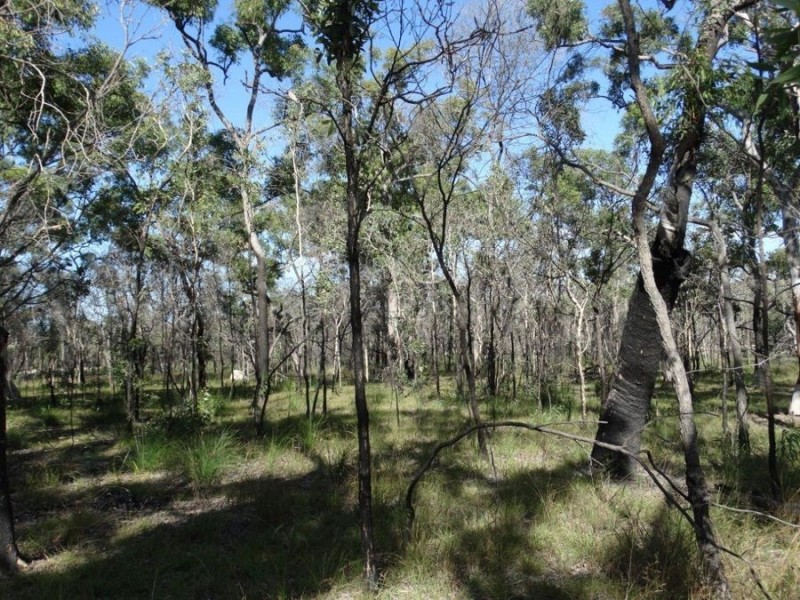 171 Deepwater Road, Deepwater QLD 4674