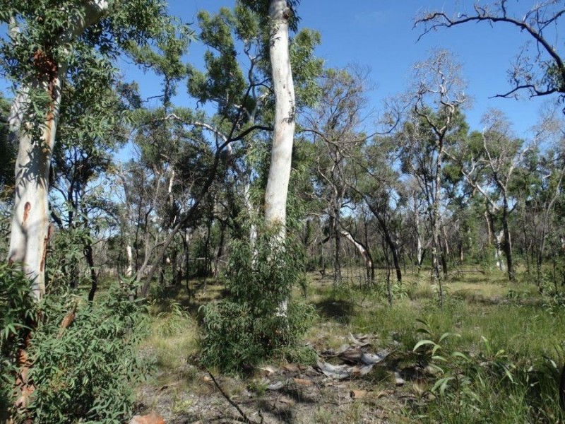 171 Deepwater Road, Deepwater QLD 4674