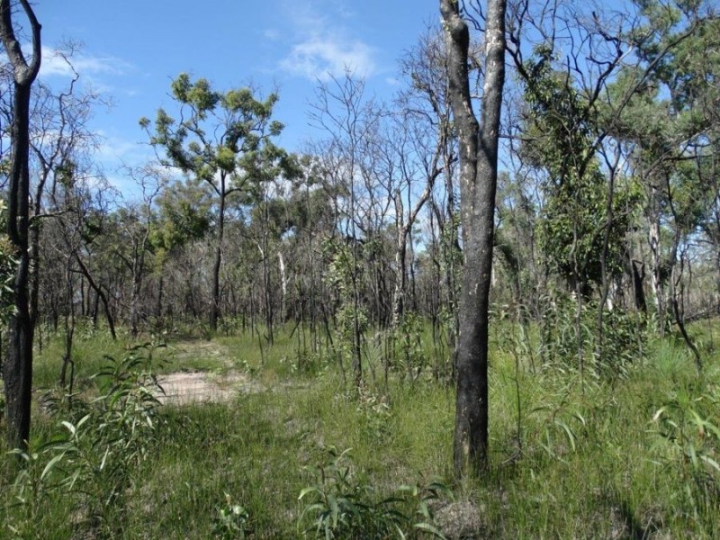 171 Deepwater Road, Deepwater QLD 4674