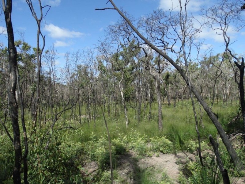 171 Deepwater Road, Deepwater QLD 4674