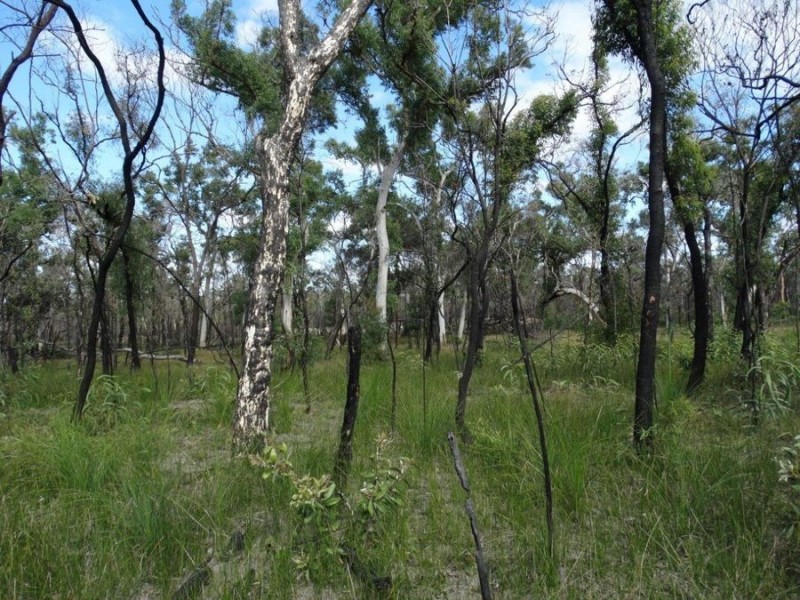 171 Deepwater Road, Deepwater QLD 4674