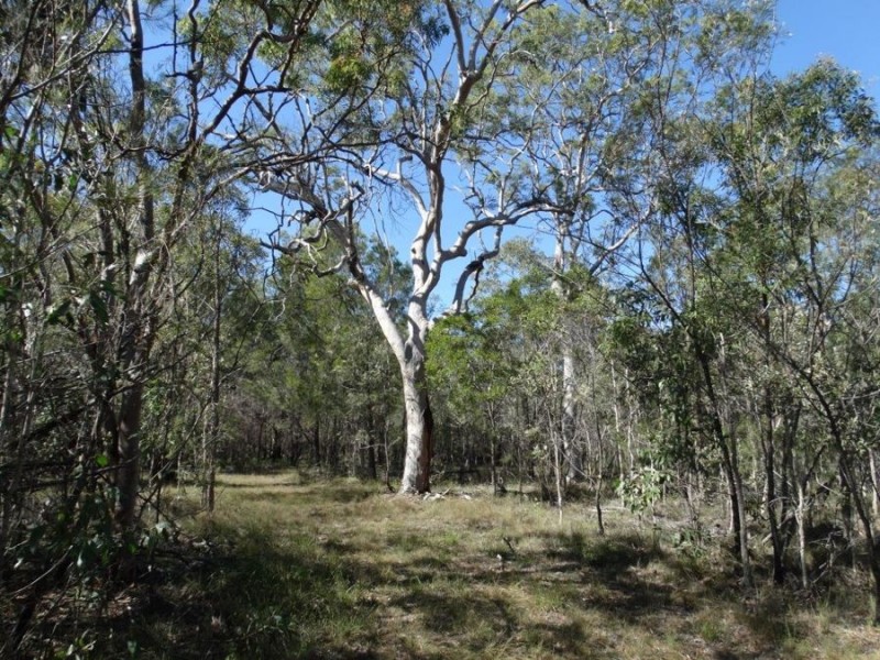 153 Matchbox Road, Deepwater QLD 4674