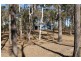 Lot 98 Mollenhagen Road, Winfield QLD 4670