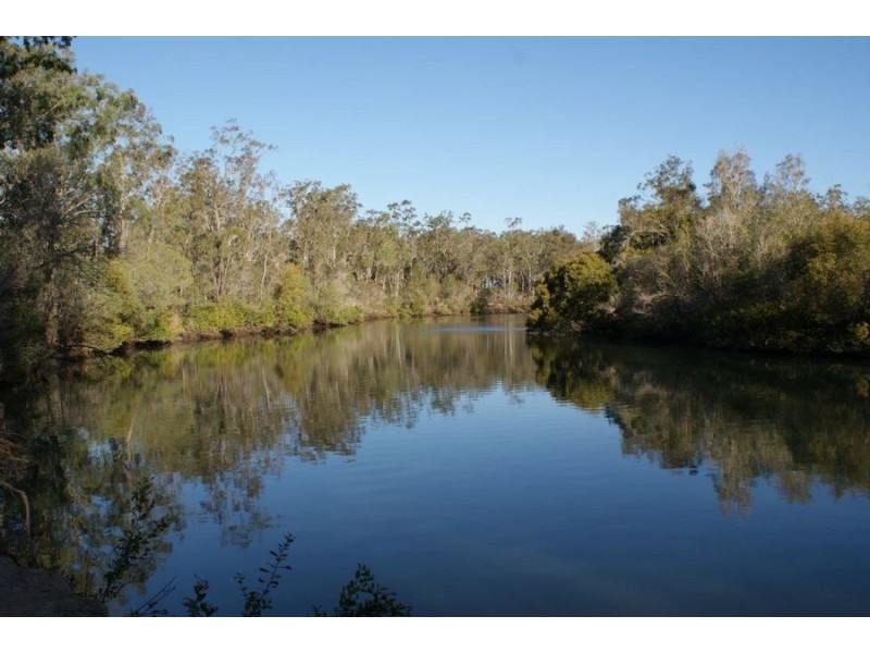 Lot 98 Mollenhagen Road, Winfield QLD 4670