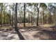 Lot 98 Mollenhagen Road, Winfield QLD 4670