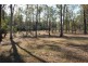 Lot 98 Mollenhagen Road, Winfield QLD 4670