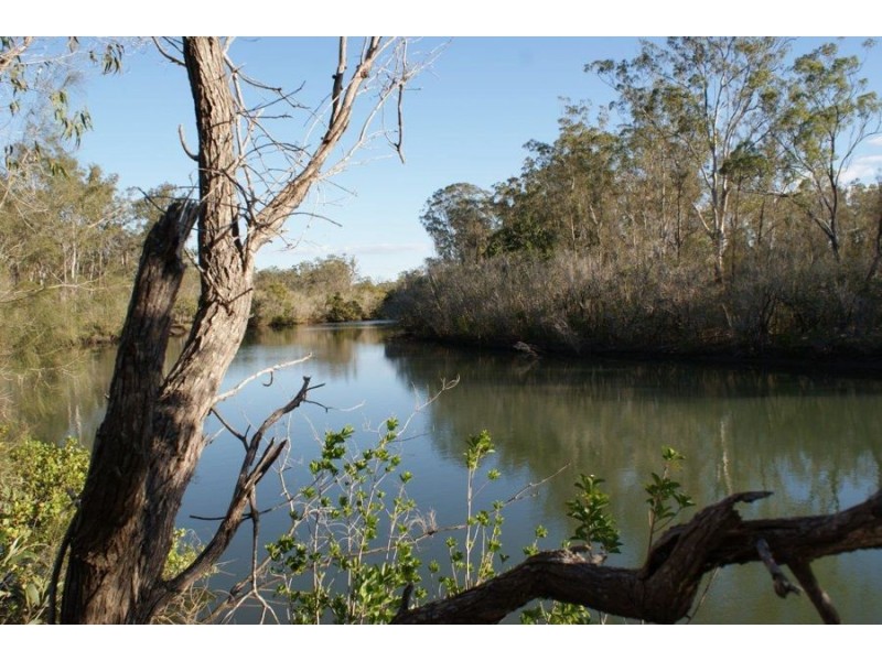 Lot 98 Mollenhagen Road, Winfield QLD 4670