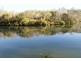 Lot 98 Mollenhagen Road, Winfield QLD 4670