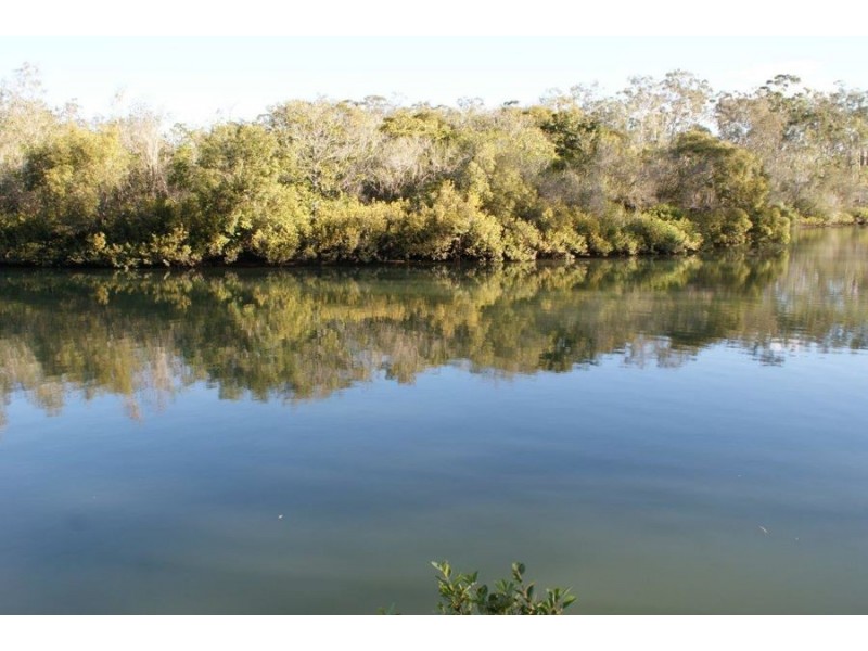 Lot 98 Mollenhagen Road, Winfield QLD 4670