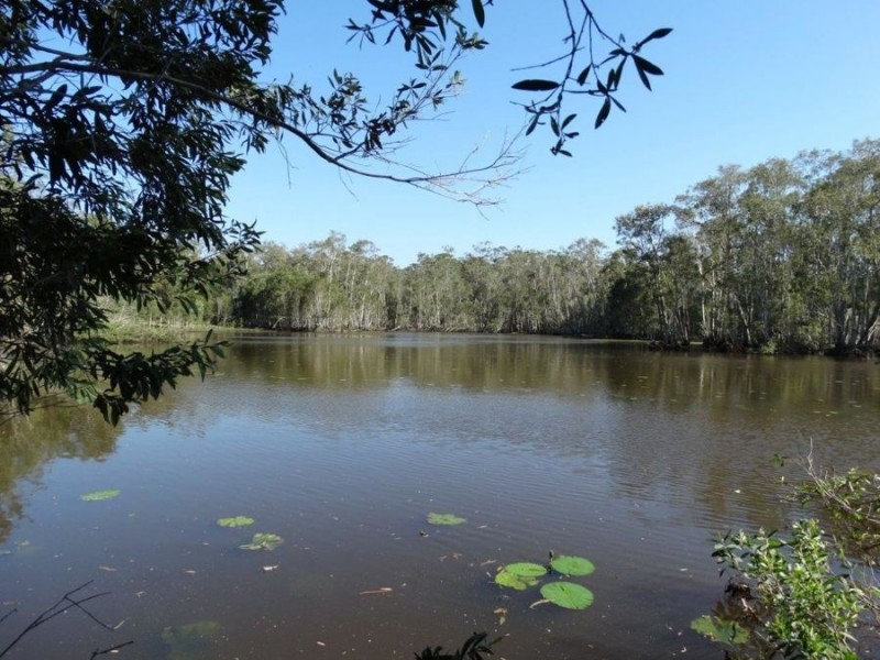 Lot 98 Mollenhagen Road, Winfield QLD 4670