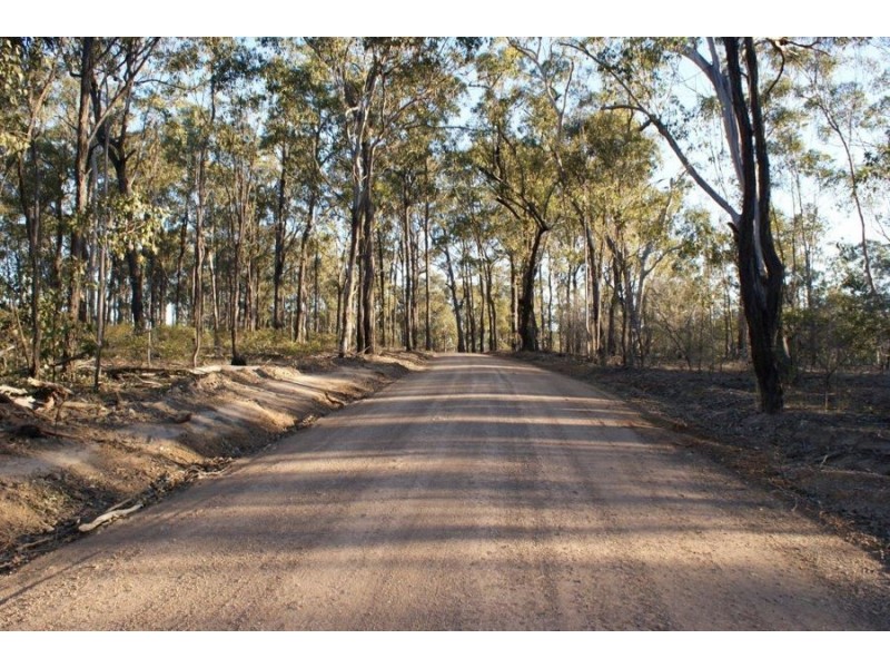 Lot 98 Mollenhagen Road, Winfield QLD 4670