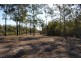 Lot 98 Mollenhagen Road, Winfield QLD 4670